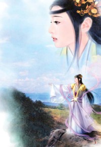 因果：华瑾