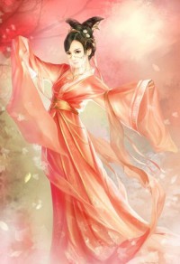 一品姐夫